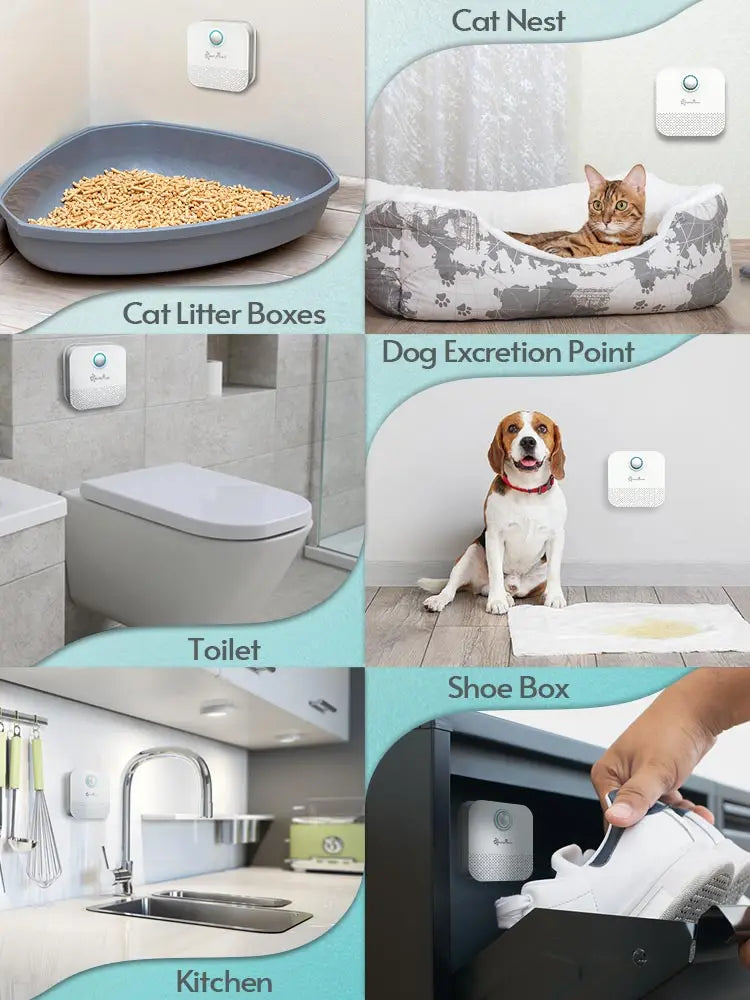 DownyPaws 4000mAh Smart Cat Odor Purifier