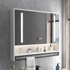 Smart Bathroom Mirror Cabinets Wall-mounted with Backlight Anti-fog Bathroom